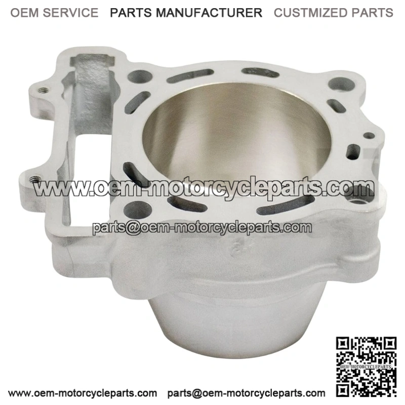ENGINE CYLINDER for KX250 / KX250X 2021-2024 - 11005-0717