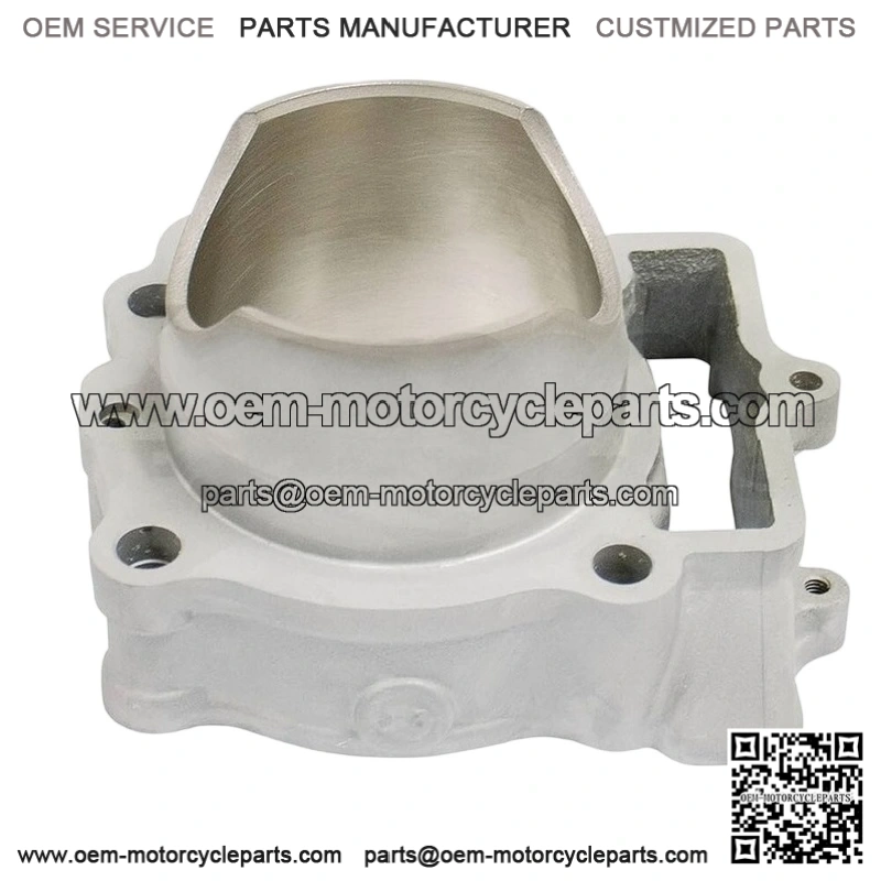 ENGINE CYLINDER for KX250 / KX250X 2021-2024 - 11005-0717 - Image 2