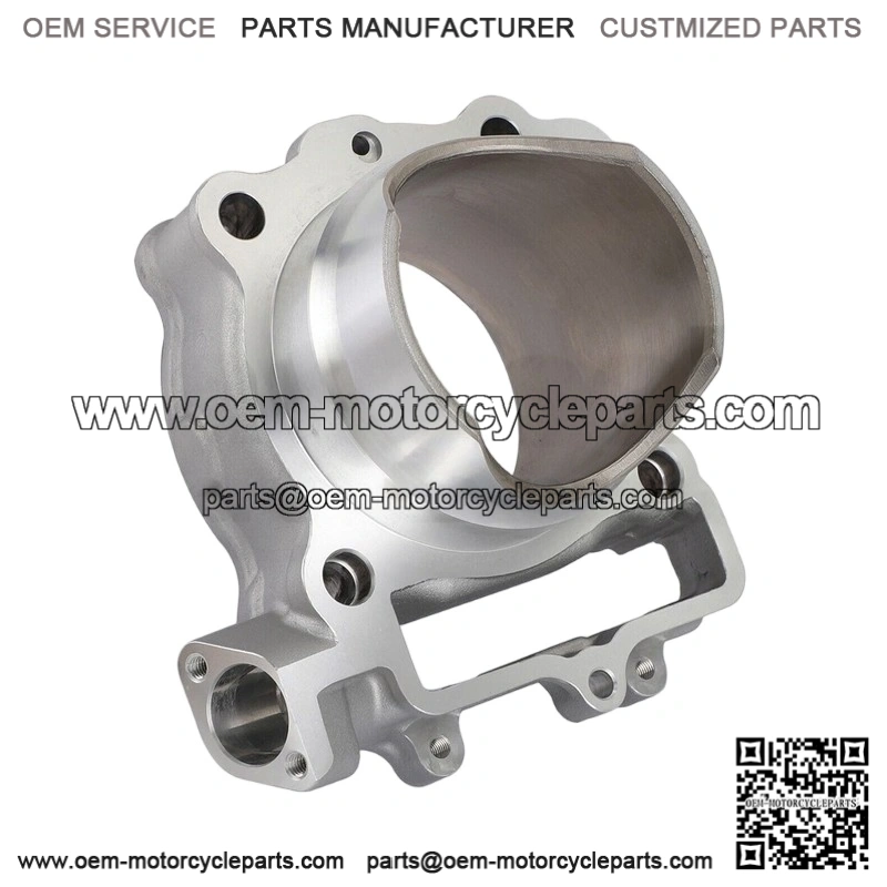 ENGINE CYLINDER for KX250F 2013-2014 - 11005-0613