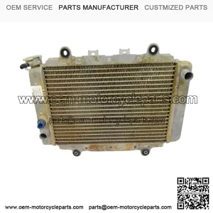 OEM Radiator 5ND-E240A-02-00 for 2003-2014 Yamaha YFM450 Grizzly IRS