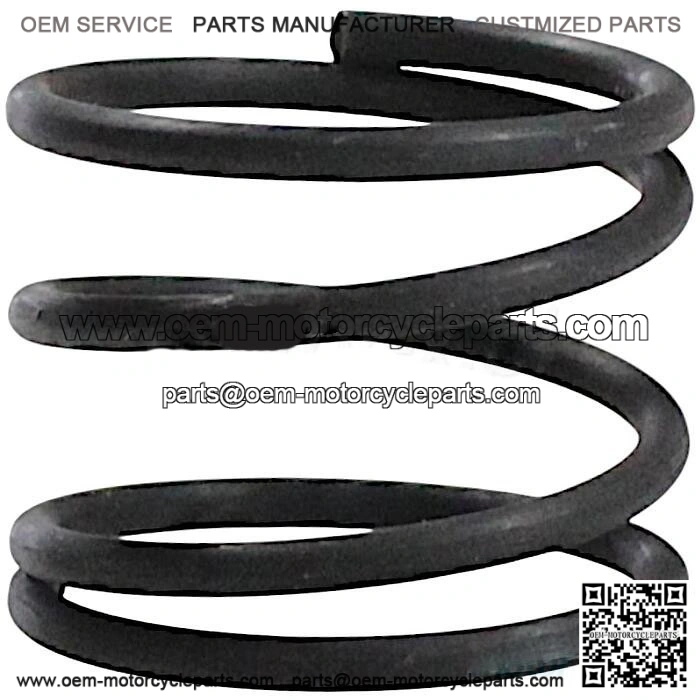 OIL FILTER SPRING SRK125S SRV125 TRX125 SRK125R