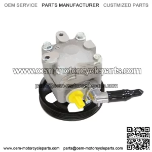 49110-JN30A Power Steering Pump for 2.0L Nissan Teana J32 2008-2012
