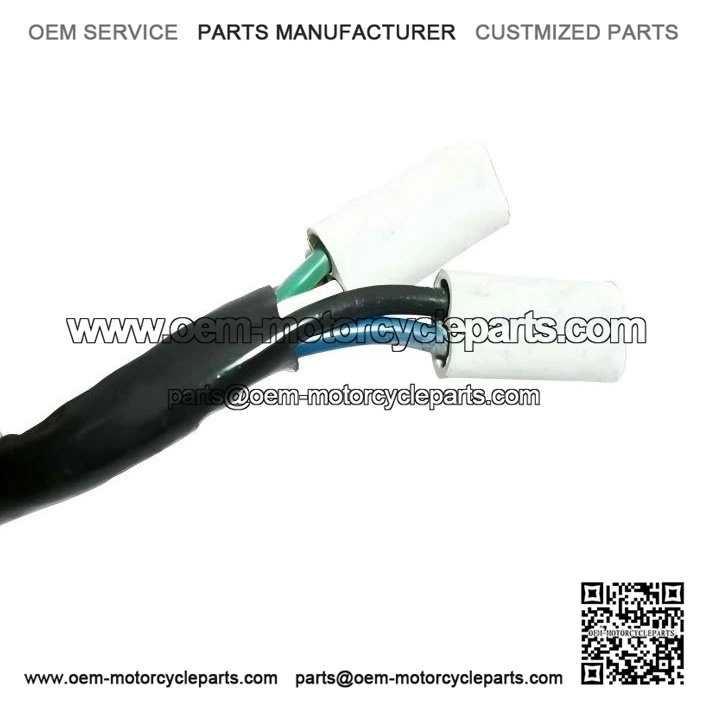 12?VOLT ELECTRONIC STATOR PLATE ASSEMBLY ?C For Vespa PX, PE & LML