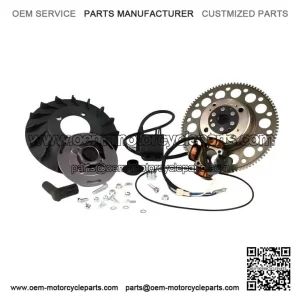 DIGITAL IGNITION ?C For Vespa PX125?200, P125X?200, 125 GTR, 2?? Cosa Electric Start