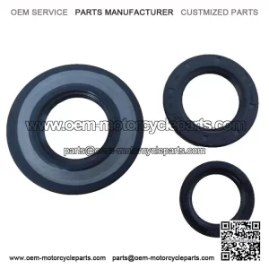 ENGINE OIL SEAL KIT (FLYWHEEL, CLUTCH, REAR HUB, 30mm) ?C 10 Pc. for PX, LML, T5