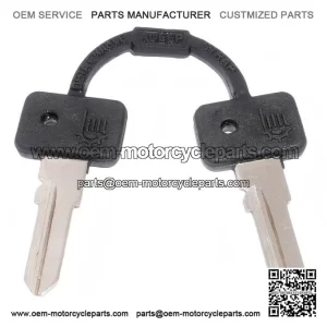 Set of 2 Blank Keys ?C Compatible with Vespa PX & LML Models.